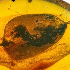 Stunning leaf inclusion - stunning,