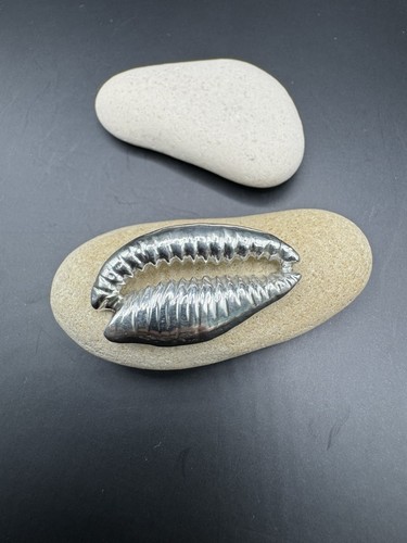 Sterling silver cowrie shell - silver,