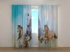Window Curtain Printed with
