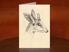 Antelope Head by Luigi Balugani - A5 Art Print Greeting Card