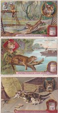 Liebig S1072 6 cards The Cat