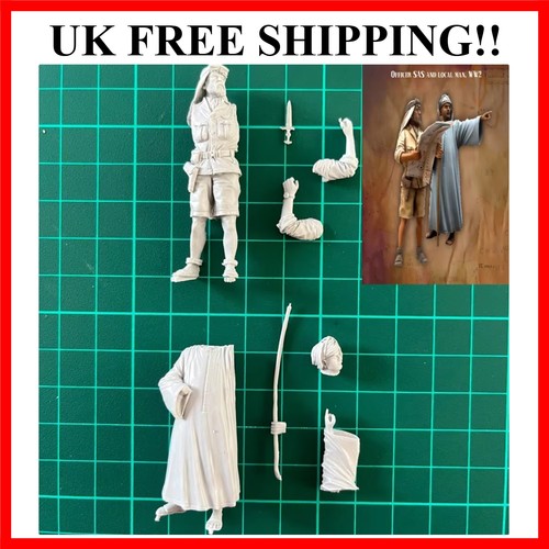 Resin model assembly - 1:,