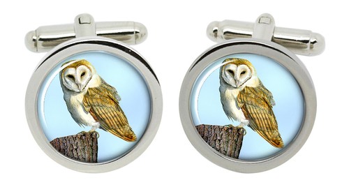 Barn owl cufflinks - barn, chrome