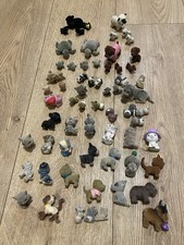 Puppy Ocean Jungle In My