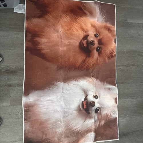 Pomeranian dog rug - , dogs