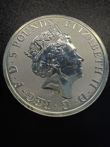 Silver bullion coin - silver,