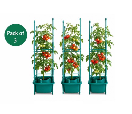 Garden tomato halos planter - 3x,