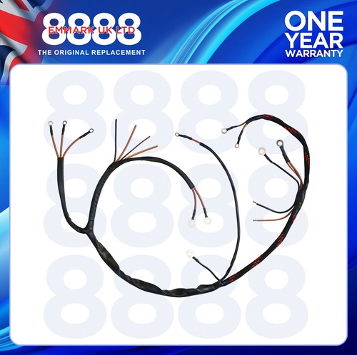 Wiring loom for massey - loom,