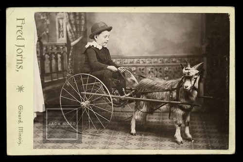 Great cabinet card little - 🐐,