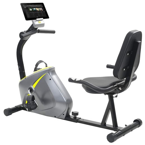 Magnetic recumbent exercise - magnetic,