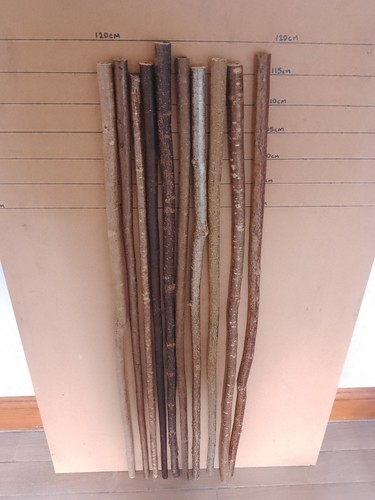 Hazel walking stick shanks - , x