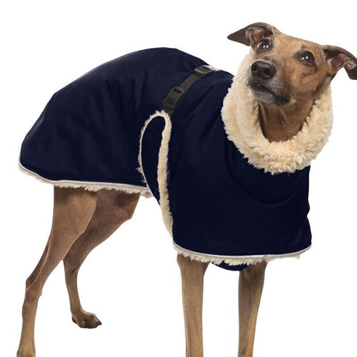 Greyhound whippet dog clothes - whippet,
