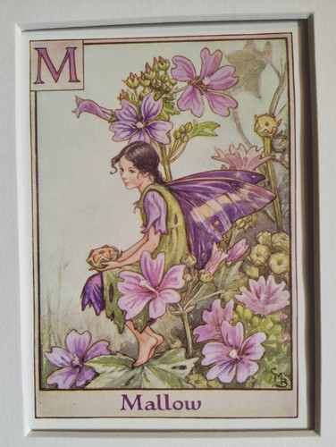 Vintage flower fairies print - flower,