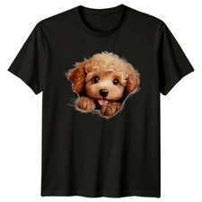 Cute Poodle Puppy Dog Peekaboo