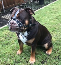 Strong dog muzzle metal wire - muzzle,