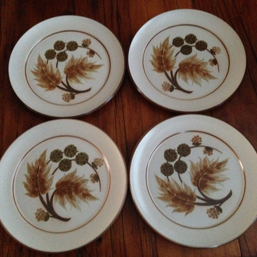 Denby cotswold dinner - 4,