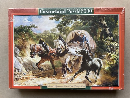 Castorland 3000 piece jigsaw - castorland,