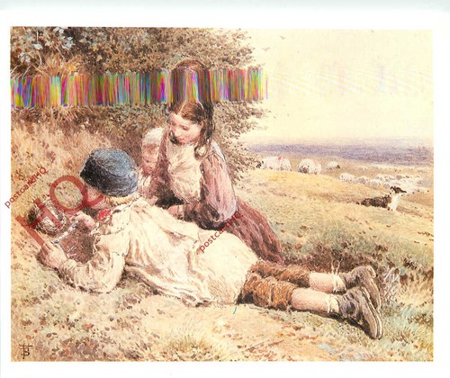 Picture postcard myles - picture, birket