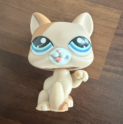 Littlest pet shop cat