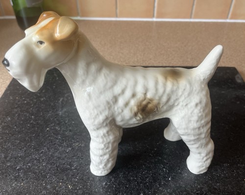 Wire fox terrier dog - wire,