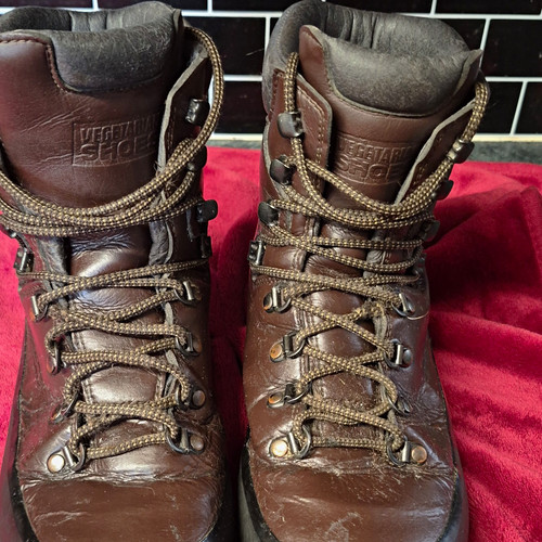 Wheatley shoes brown - brown, leather