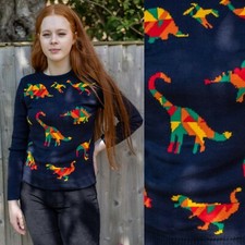 Run and Fly Rainbow Dinosaur