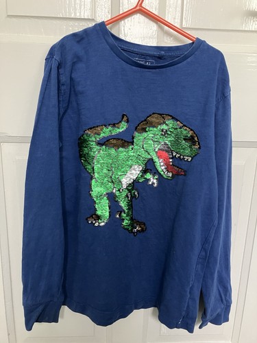Boys sequined dinosaur - sequined, long