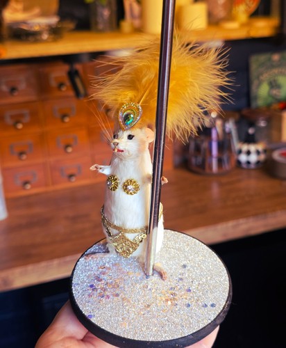 Show girl mouse taxidermy - girl,
