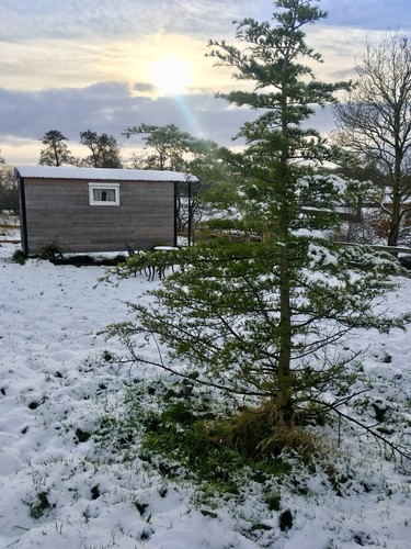 Shepherds hut home - home, office
