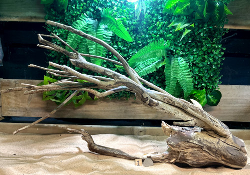 Talawa wood aquascaping - talawa,