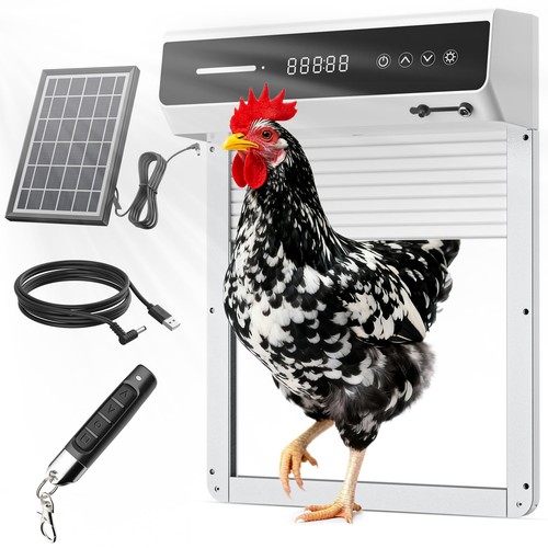 Automatic chicken coop door - coop,
