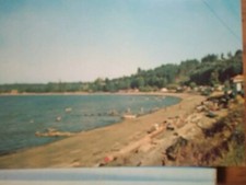 VINTAGE  POST CARD  QUALICUM