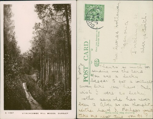 Dursley stinchcombe hill - hill, woods