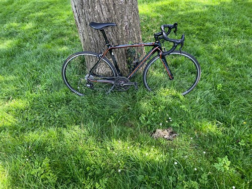 Focus izalco max - max, new