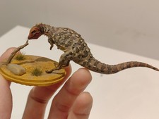 Jakapil Resin Dinosaur 1:20 Model Figure Prehistoric Animal One of  a Kind