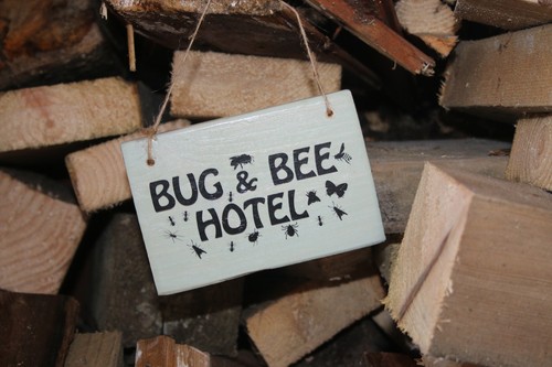Bug bee insect hotel sign - bee,