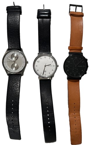 Skagen mens watch - , (three