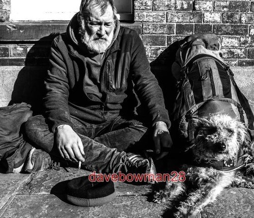 Photo homeless man and buffy - ,