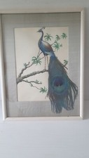 Vintage Original Hand Painted Folk Art Peacock With Genuine Bird Feather Framed