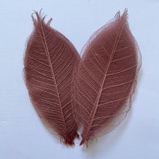 25 Pack Skeleton Leaves - 2”