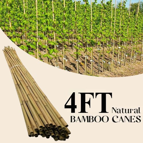 4ft bamboo canes - canes, duty