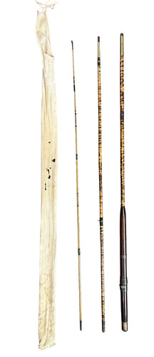 Vintage tiger bamboo - vintage,