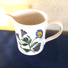 Portmeirion   Botanic Garden