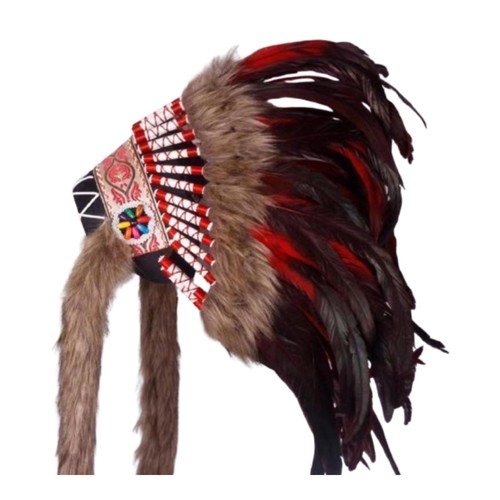 Feather headdress costume - headdress,