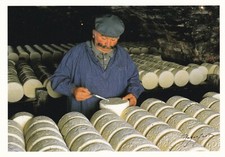 Roquefort Sur Soulzon Le Maitre Affineur France Postcard unused VGC