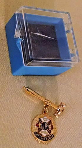 Iof pin gavel - pin, chief
