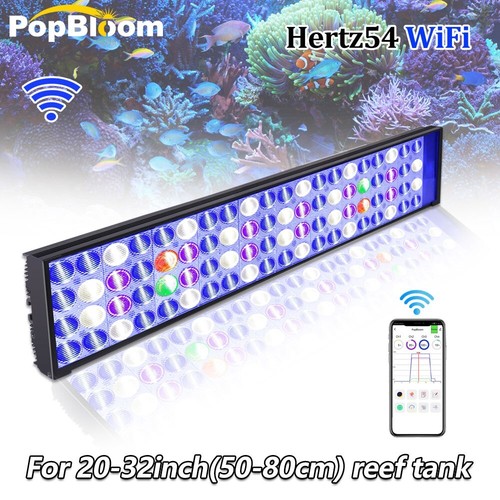Popbloom 60cm 240cm marine - 60cm-240cm,
