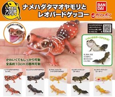 Bandai Gashapon Smooth
