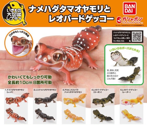 Bandai gashapon smooth - bandai,