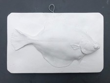 Plaster cast of a Plaice fish